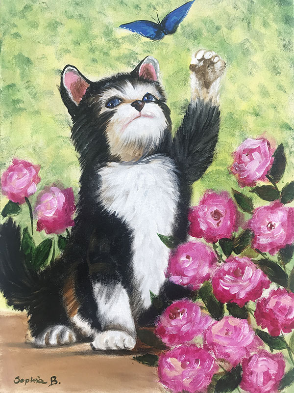 Gatinho - 30 x 40 - AST - 2019